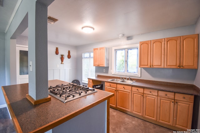 kitchen with sink, stainless steel gas cooktop, and dishwasher