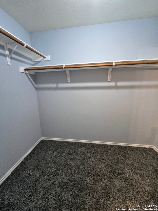 walk in closet with carpet floors