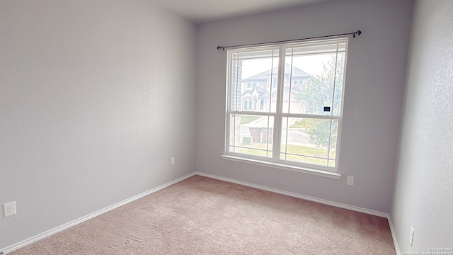 spare room with a wealth of natural light and carpet flooring