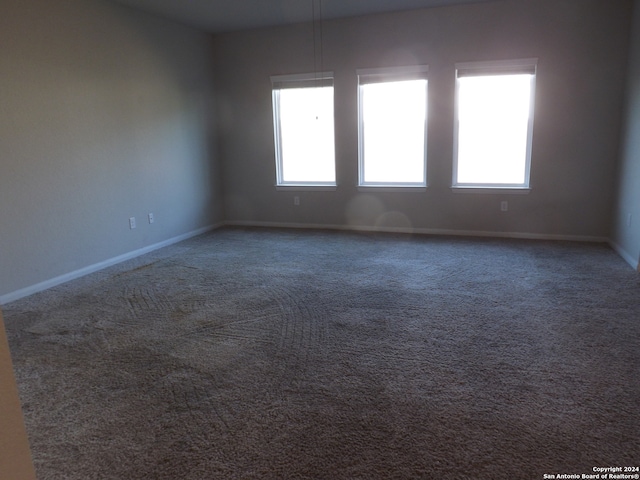 empty room with carpet floors and a healthy amount of sunlight