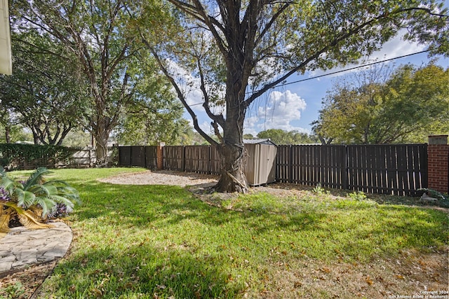 view of yard with a shed