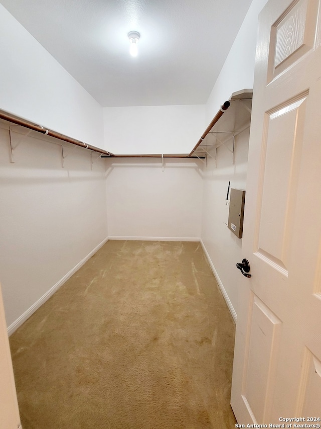 walk in closet featuring light colored carpet