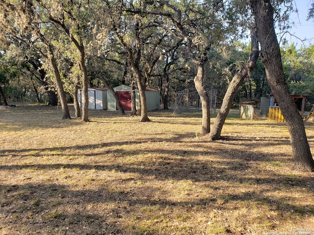 view of yard with a storage unit