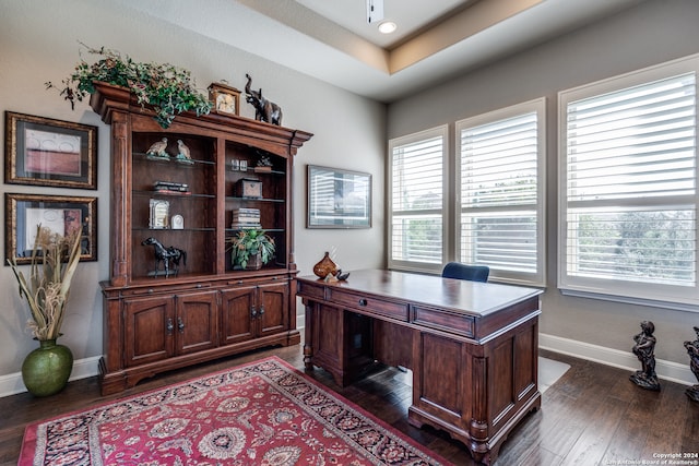 office space featuring dark hardwood / wood-style flooring