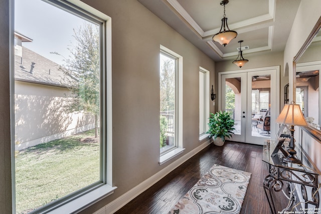 foyer with french doors, dark wood-type flooring, and a raised ceiling