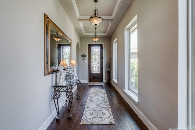 entrance foyer featuring ornamental molding, dark hardwood / wood-style floors, and a raised ceiling