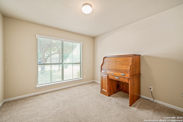 office area featuring light colored carpet