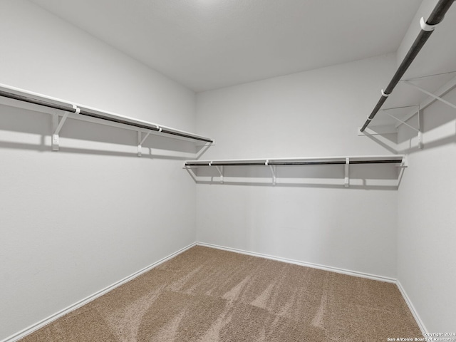 spacious closet featuring carpet flooring