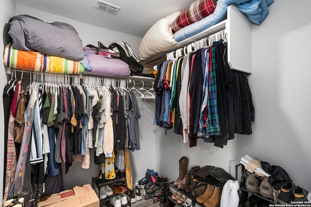 view of walk in closet