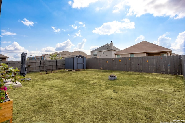 view of yard featuring a storage unit