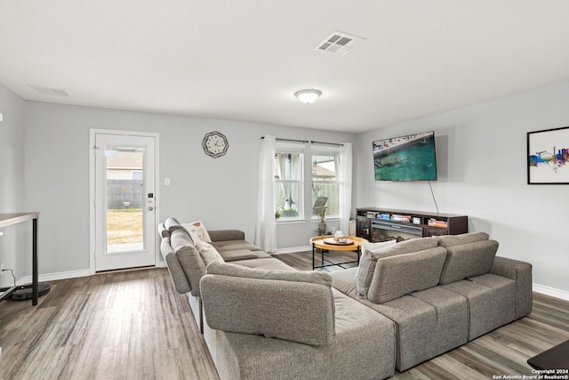 living room featuring hardwood / wood-style floors