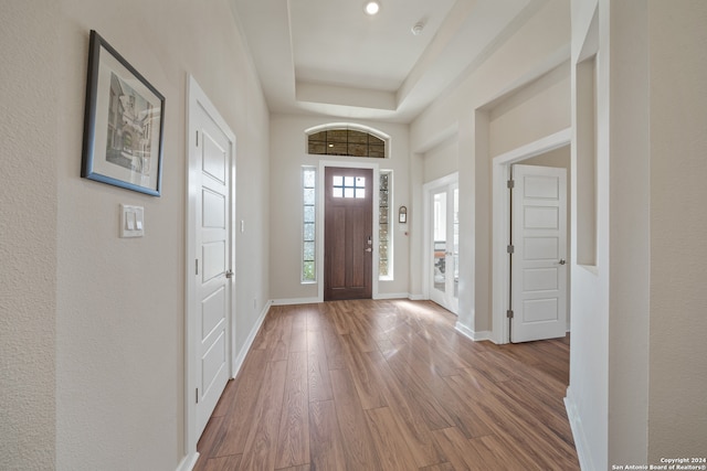 foyer entrance featuring hardwood / wood-style flooring and a tray ceiling