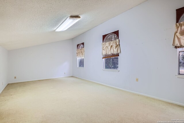 spare room featuring a textured ceiling and carpet flooring