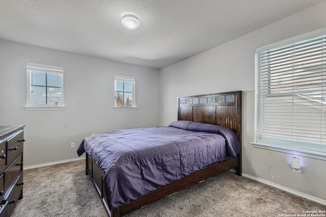 carpeted bedroom with a textured ceiling and multiple windows