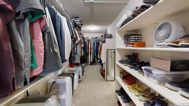 spacious closet featuring light carpet