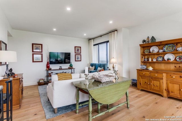 living room featuring light hardwood / wood-style flooring