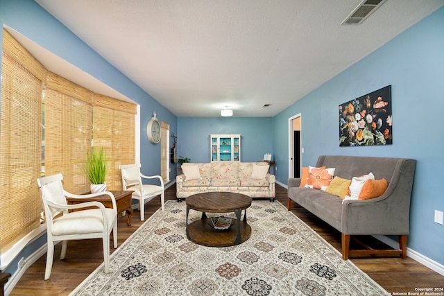 living room featuring hardwood / wood-style floors