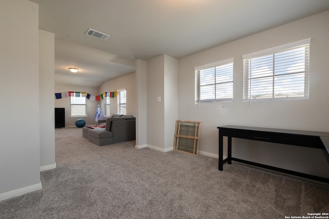 living room with carpet flooring