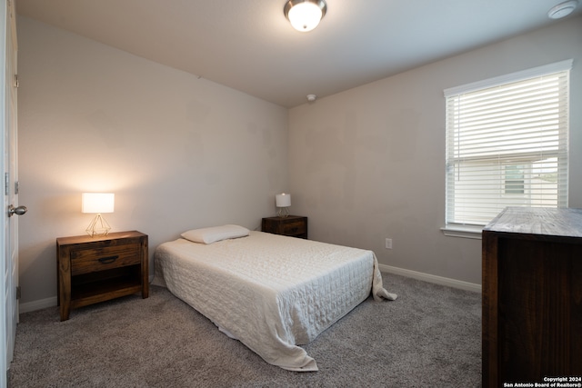 bedroom with carpet floors