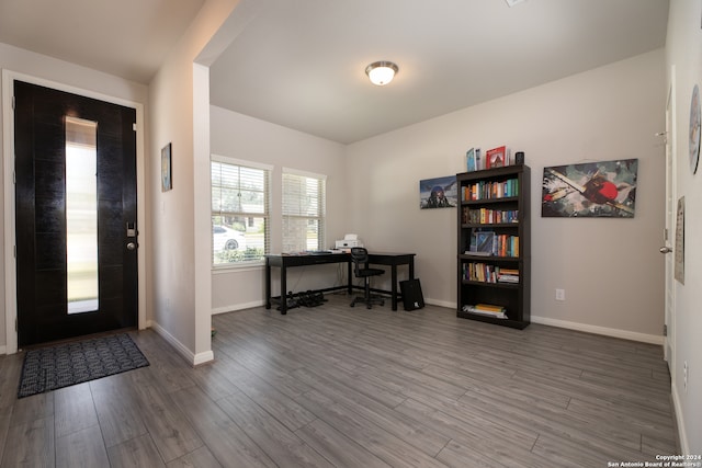 foyer with wood-type flooring