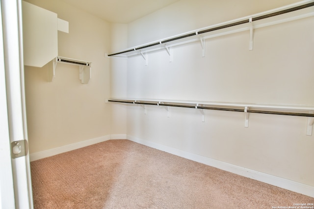 spacious closet featuring light colored carpet