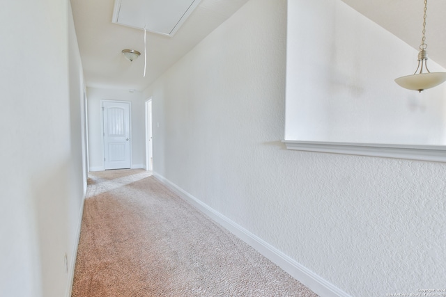 hall featuring carpet flooring