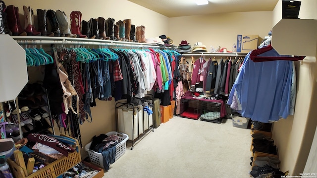 walk in closet with carpet flooring