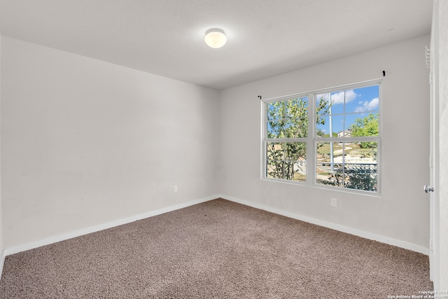 empty room featuring carpet floors