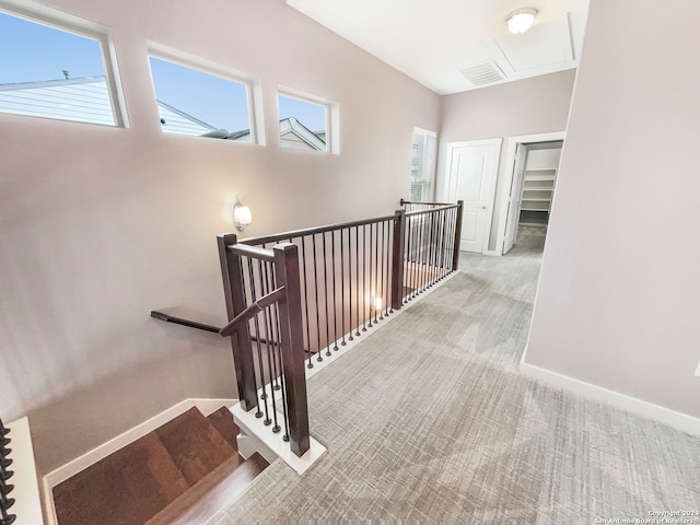 stairs featuring a wealth of natural light and carpet floors