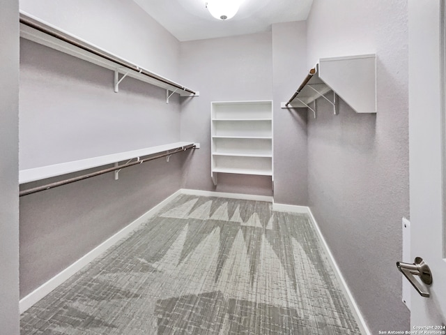 spacious closet featuring carpet floors