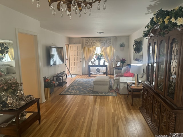 living room featuring wood-type flooring