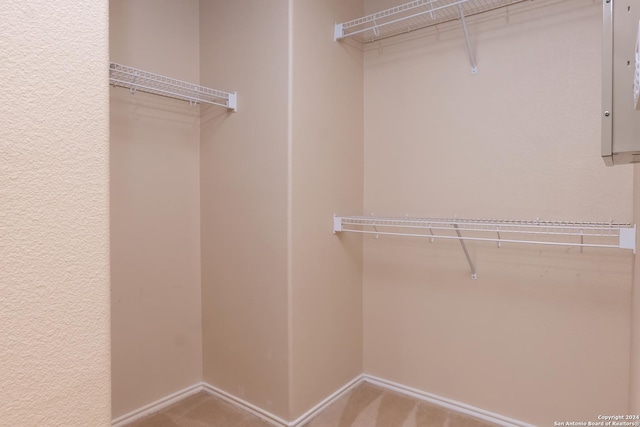 10707 Axis Xing, San Antonio, TX 78245 - spacious closet with carpet flooring