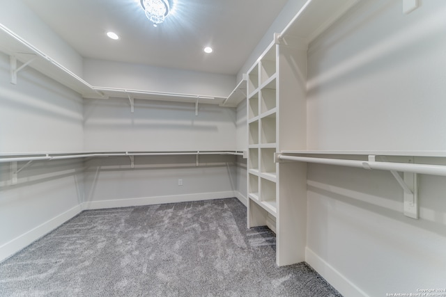 spacious closet featuring carpet