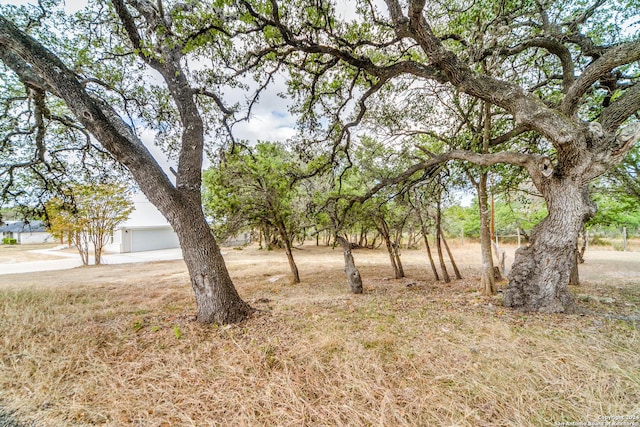 view of yard featuring a garage