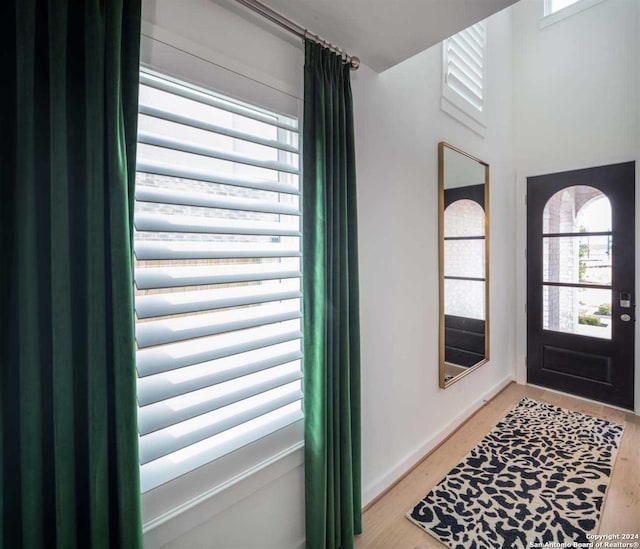 entrance foyer with light hardwood / wood-style flooring