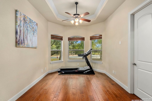 workout area with hardwood / wood-style floors, ceiling fan, ornamental molding, and a tray ceiling