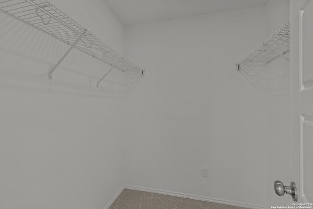 spacious closet featuring carpet flooring