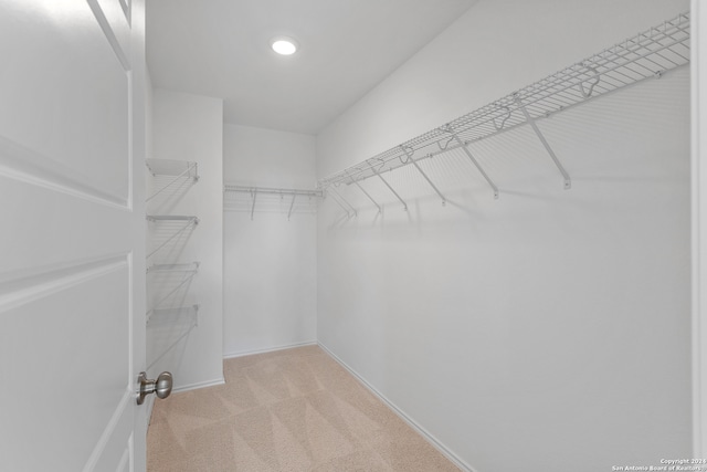 walk in closet with light carpet