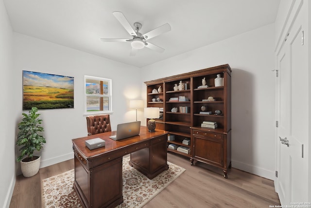 office with ceiling fan and light hardwood / wood-style flooring