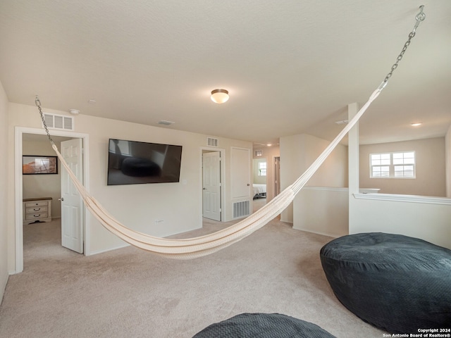 interior space with light colored carpet