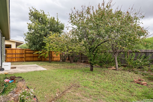 view of yard with a patio