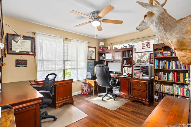 office area with dark hardwood / wood-style floors and ceiling fan