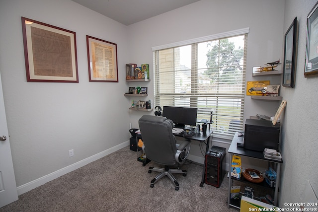 office space with carpet