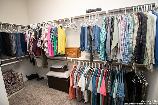 spacious closet featuring carpet flooring