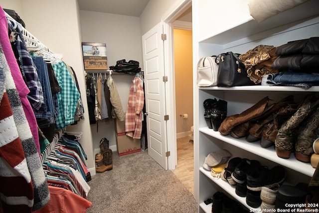 walk in closet featuring light carpet