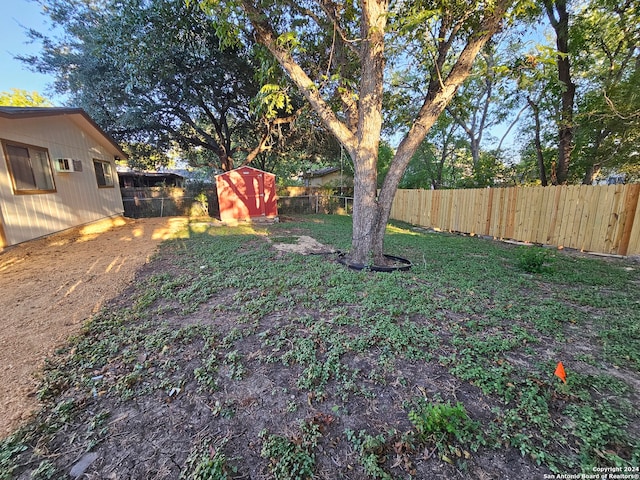 view of yard featuring a shed