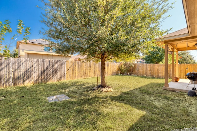 view of yard featuring a patio