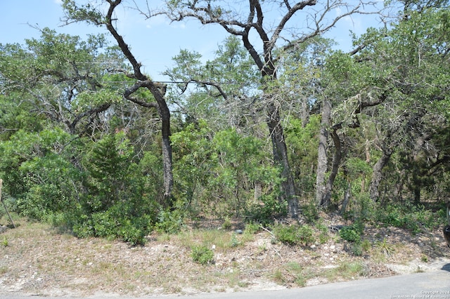 Listing photo 3 for LOT2 County Road 174, Helotes TX 78023