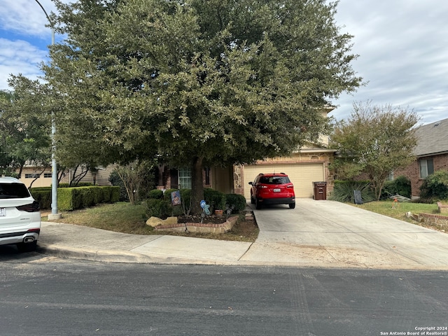 view of property hidden behind natural elements with a front lawn and a garage