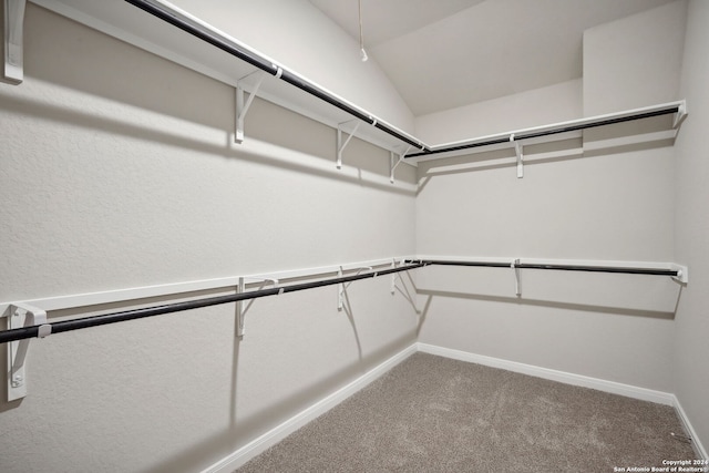 spacious closet with carpet flooring and vaulted ceiling